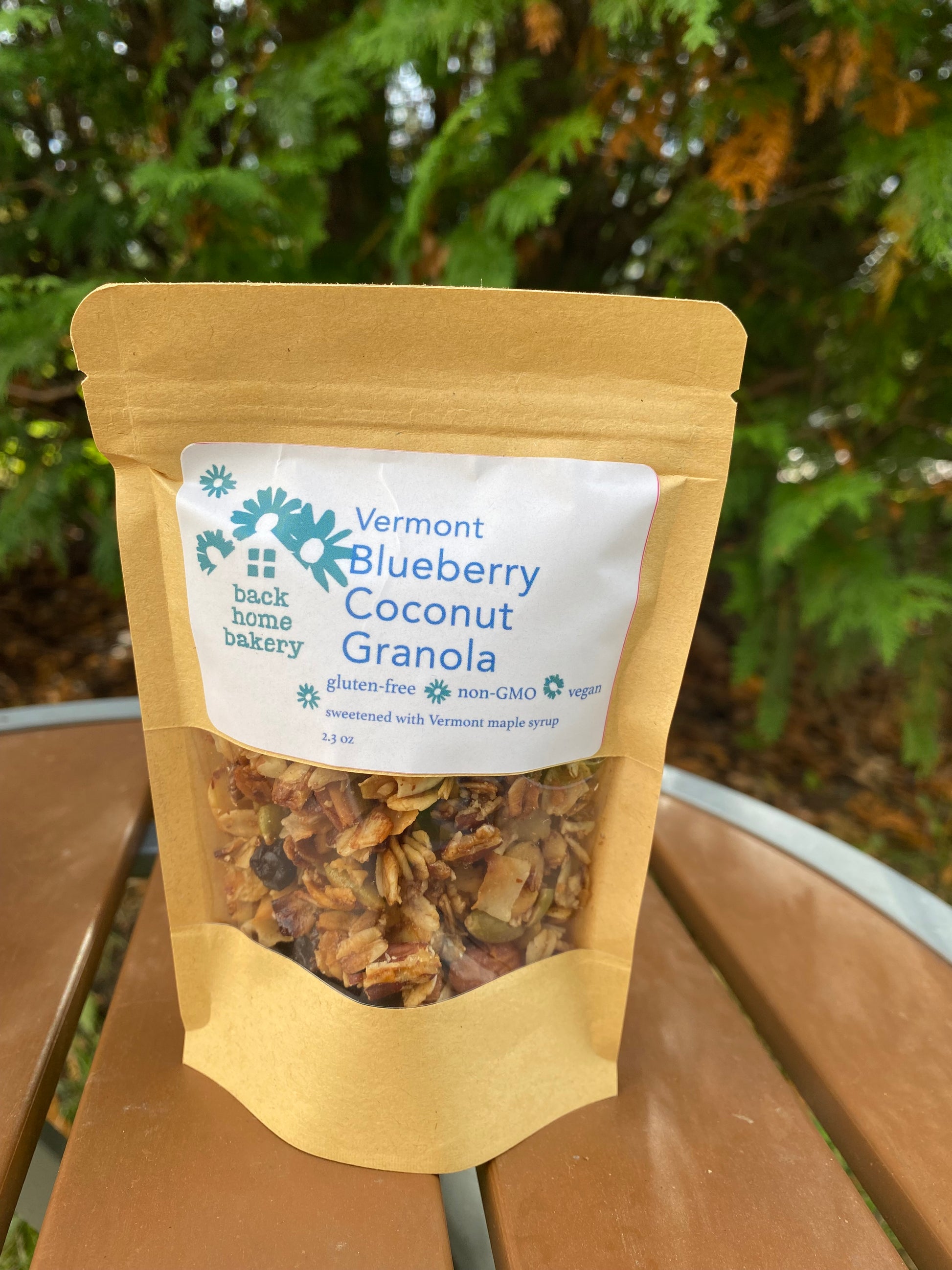 Blueberry Coconut image 2